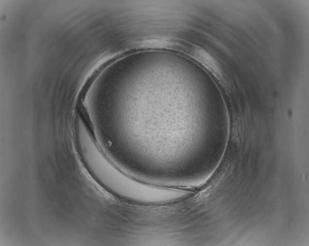 X0000065980992200603101418