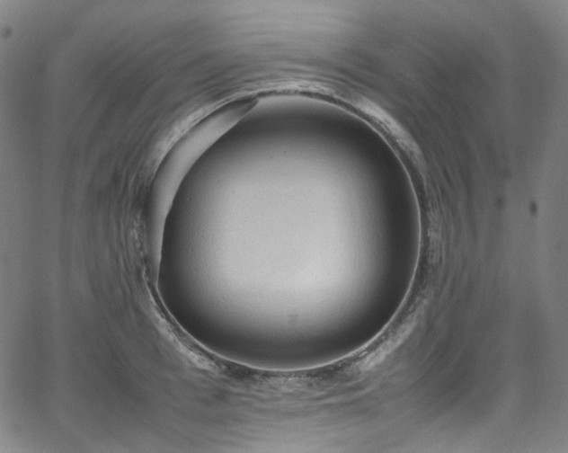 X0000065980993200603101418