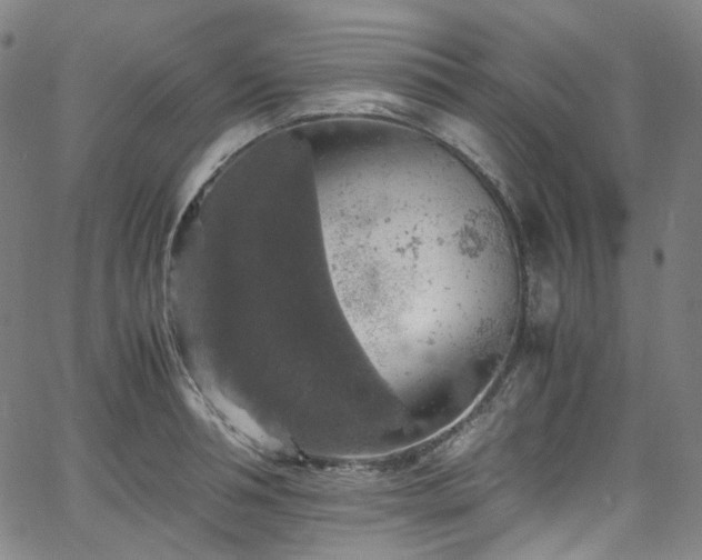 X0000065980994200603101418