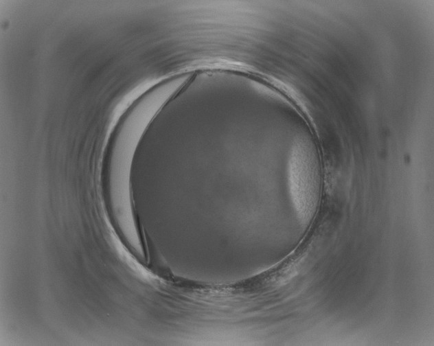 X0000065980995200603101418