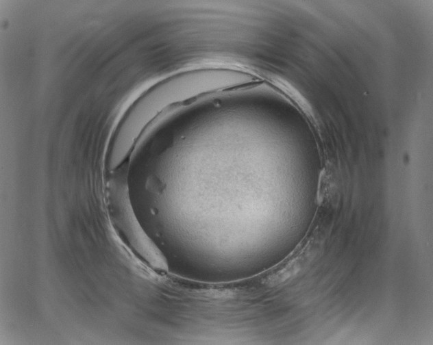 X0000065980996200603101418