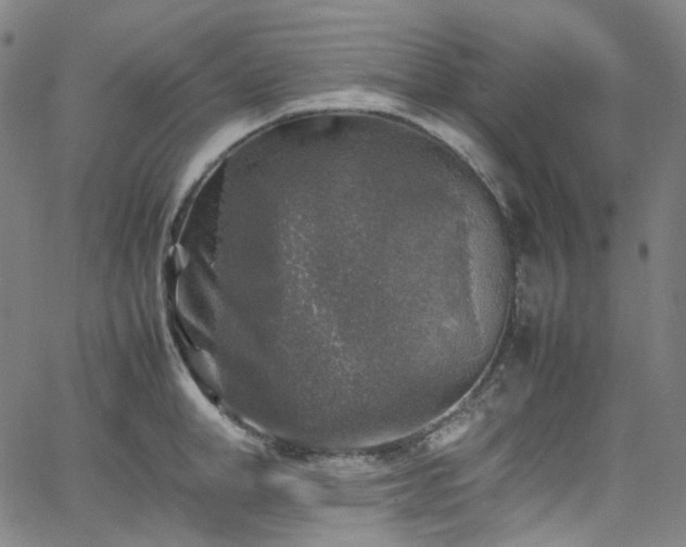 X0000065980998200603101418