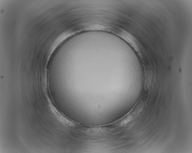 X0000065981000200603101418