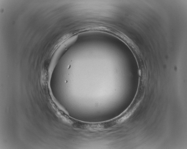 X0000065981001200603101418