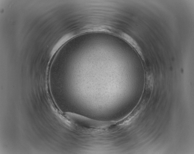 X0000065981002200603101417