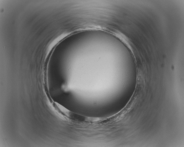 X0000065981003200603101417