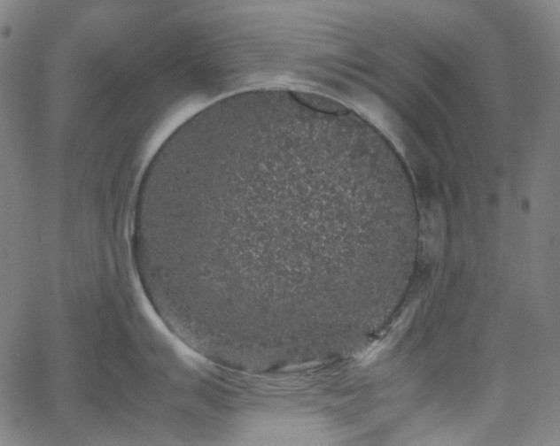 X0000065981007200603101417