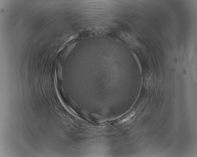 X0000065981010200603101417