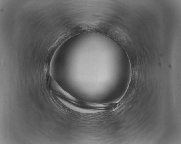 X0000065981012200603101417