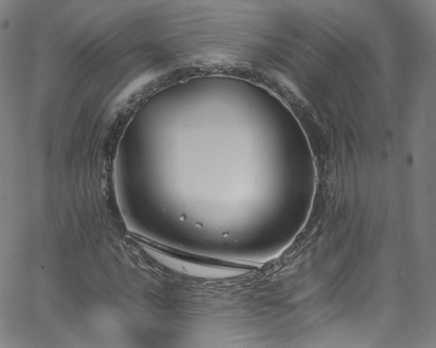 X0000065981016200603101417