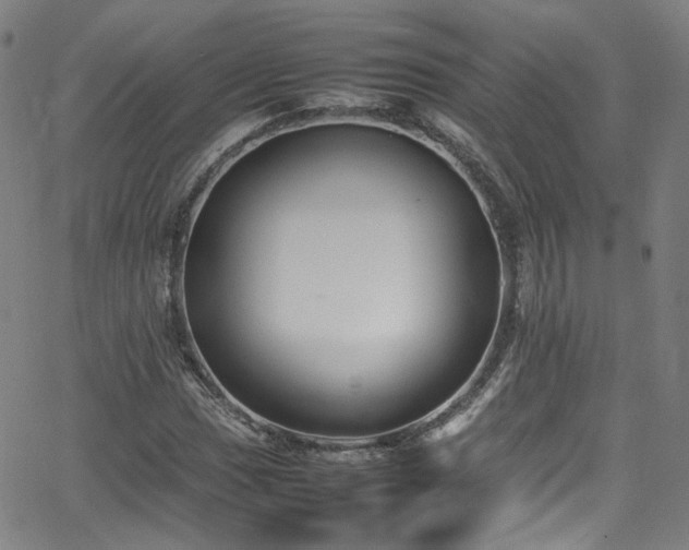 X0000065981017200603101417