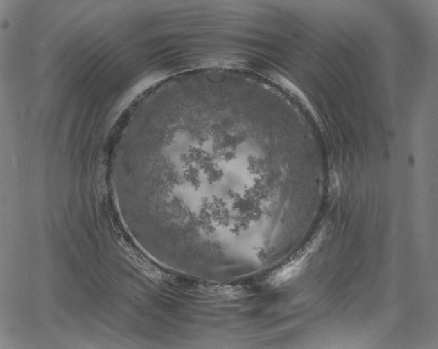 X0000065981019200603101417