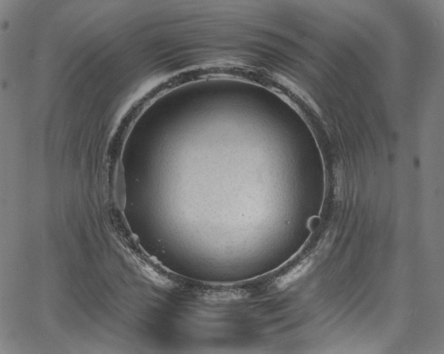 X0000065981021200603101417