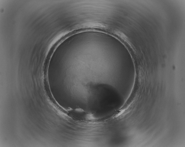 X0000065981024200603101417