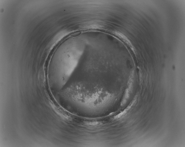 X0000065981031200603101417