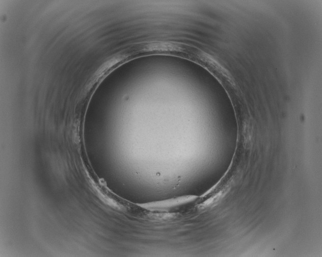 X0000065981033200603101417