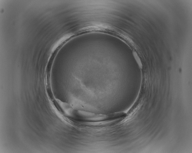 X0000065981034200603101417