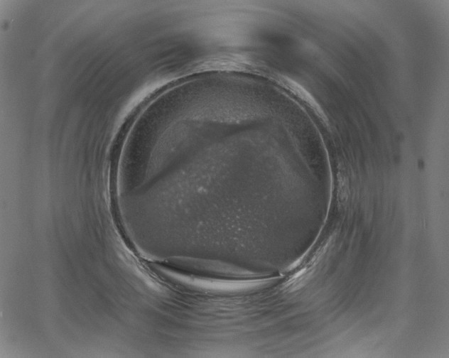 X0000065981035200603101417