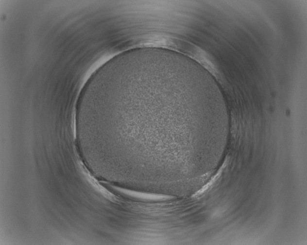 X0000065981036200603101417