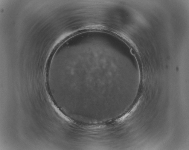 X0000065981037200603101417