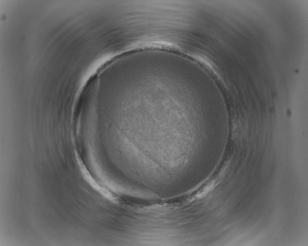 X0000065981038200603101417