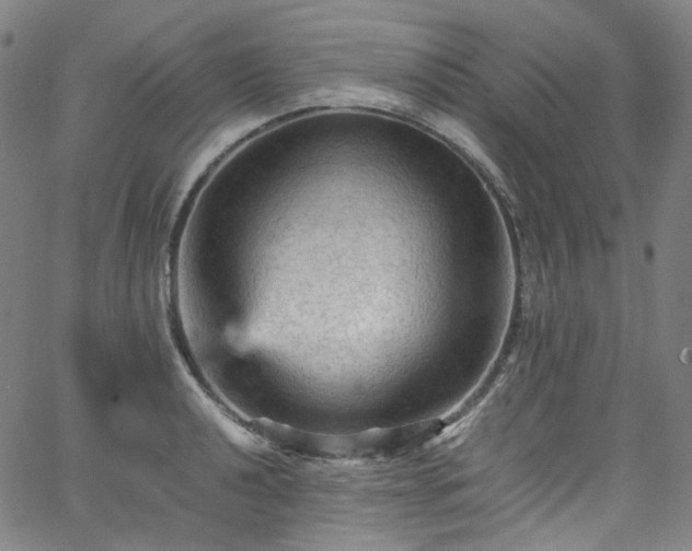 X0000065981040200603101417