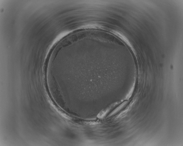 X0000065981045200603101417