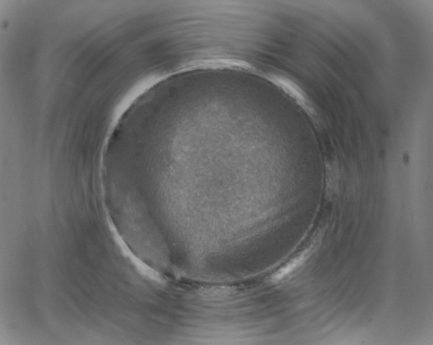 X0000065981046200603101417