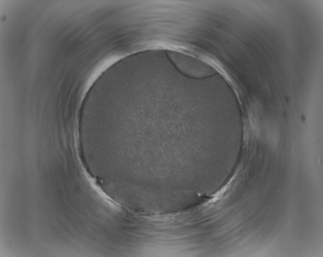 X0000065981048200603101417