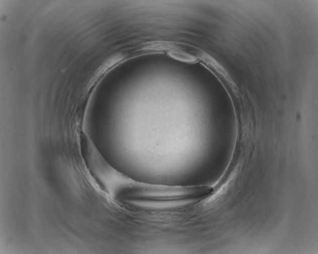 X0000065981049200603101417