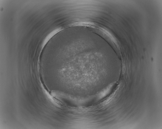 X0000065981050200603101417