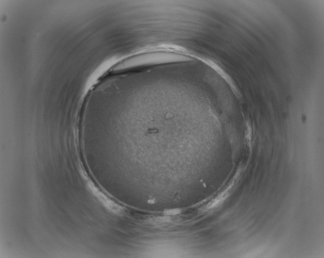 X0000065981054200603101417