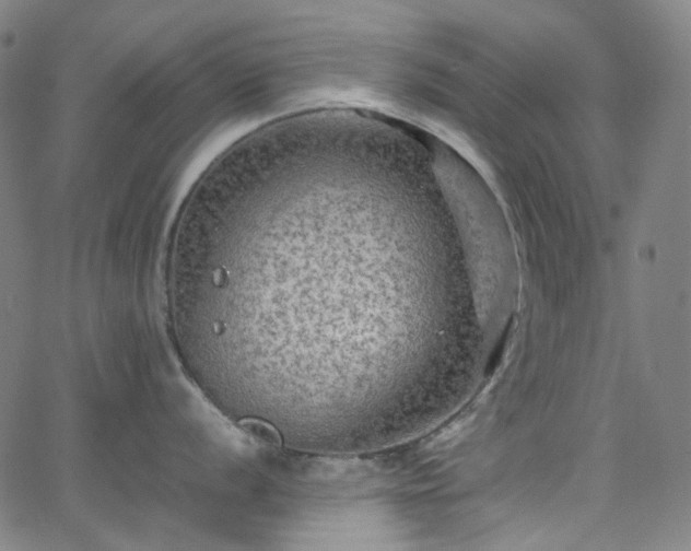 X0000065981056200603101417