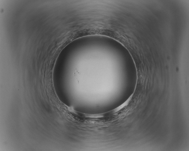 X0000065981057200603101417