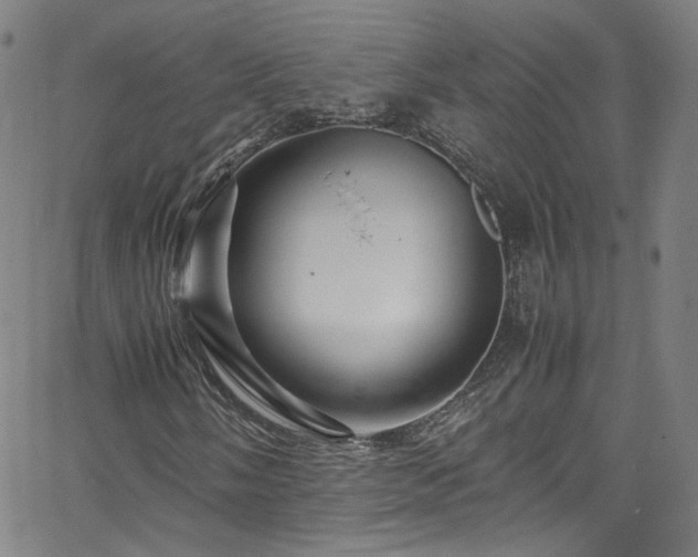 X0000065981058200603101417