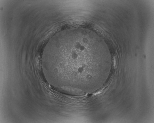 X0000065981059200603101417