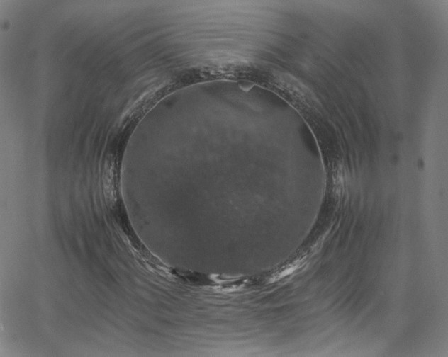 X0000065981060200603101417