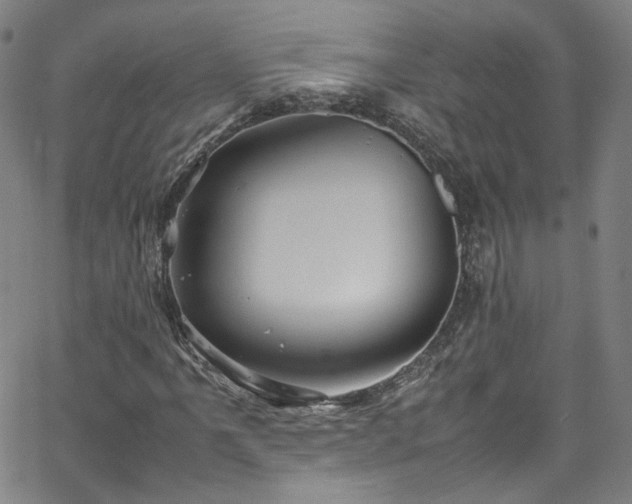 X0000065981061200603101417