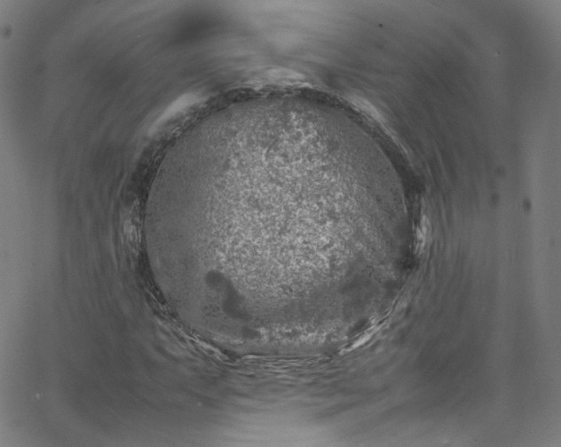 X0000065981063200603101417