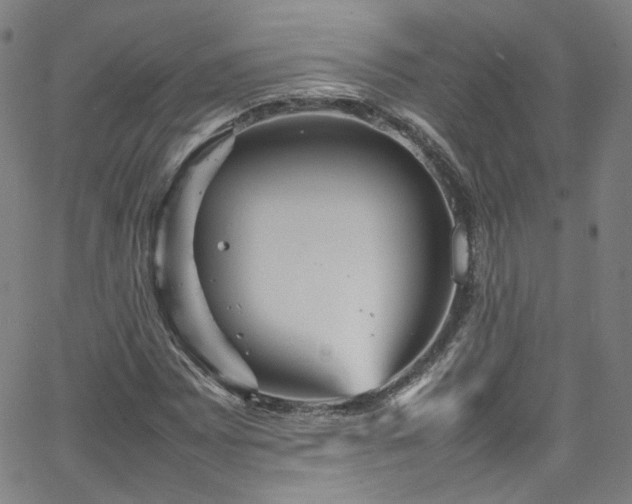 X0000065981065200603101416