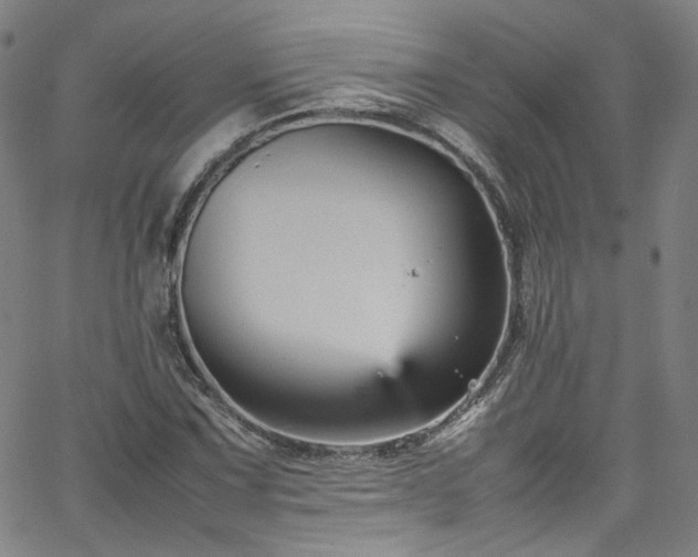 X0000065981067200603101416