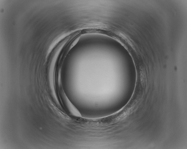 X0000065981069200603101416