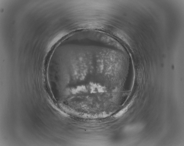 X0000065981071200603101416