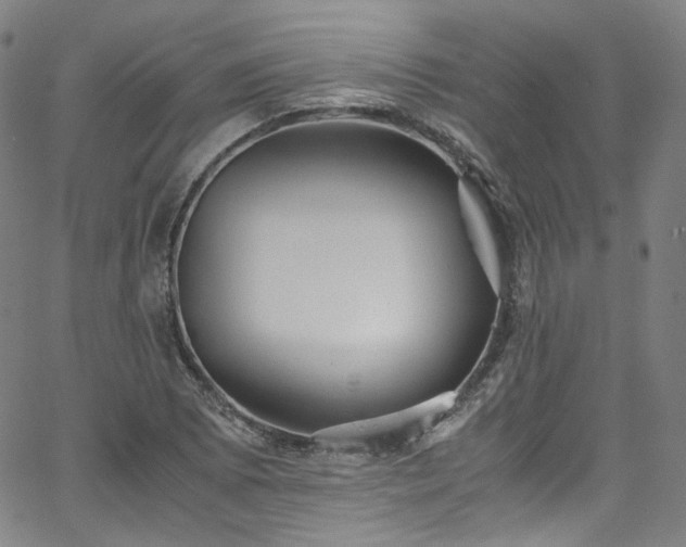 X0000065981073200603101416