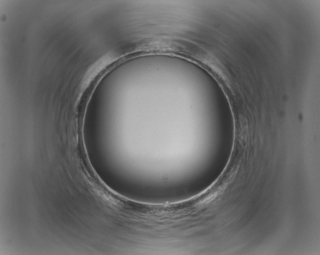 X0000065981075200603101416