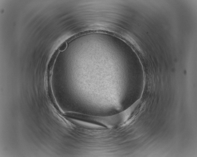 X0000065981076200603101416