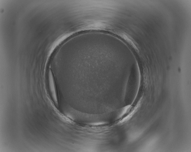 X0000065981077200603101416