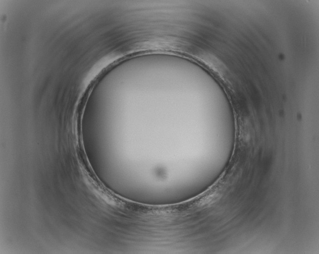 X0000065981078200603101416