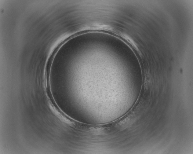 X0000065981080200603101416