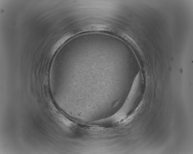 X0000065981081200603101416